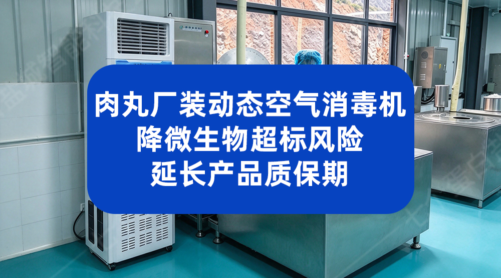 肉丸厂装动态空气消毒机：降微生物超标风险 延长产品质保期