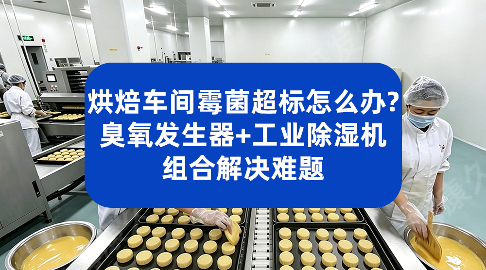 烘焙车间霉菌超标怎么办？臭氧发生器 + 工业除湿机组合解决