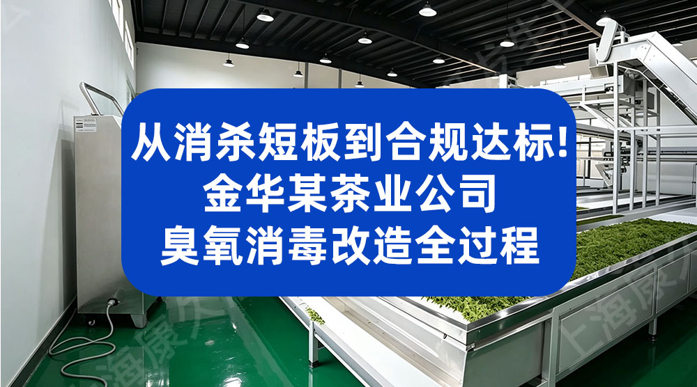 从消杀短板到合规达标！金华某茶业公司臭氧消毒改造全过程